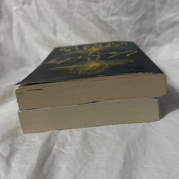 “Without Merit” and “Verity” Paperback Fiction Novels by Colleen Hoover. - Picture 5 of 15